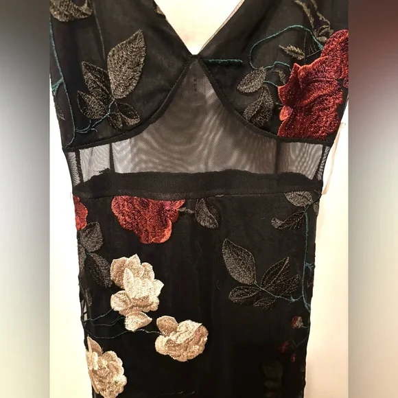 NWT Beautiful Blue Blush Dress with Red and White Floral Details - Picture 4 of 15